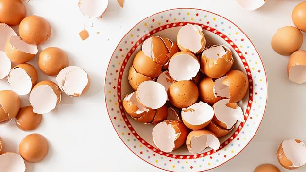 Víte, k čemu použít čaj z vaječných skořápek?