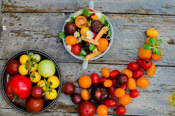 rajčata rozmanitých barev a tvarů, radost na zahradě i na talíři