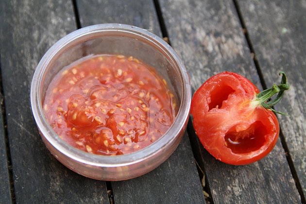 Semínka rajčat