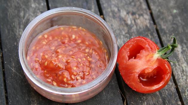Jak získat vlastní semínka rajčat?