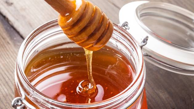 Věděli jste, že med může obsahovat enzymy na podporu růstu kořenů rostlinných řízků?