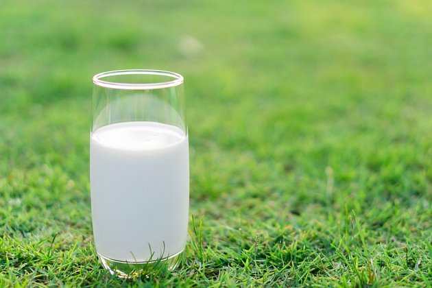 Mléko má široké využití i na zahradě