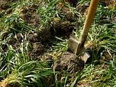 Jestliže vás tento způsob nějak inspiruje, měli byste záhony opatřit buď zeleným hnojením, nebo jim dopřát pořádnou vrstvu mulče, může to být posekaná tráva či kompost.
