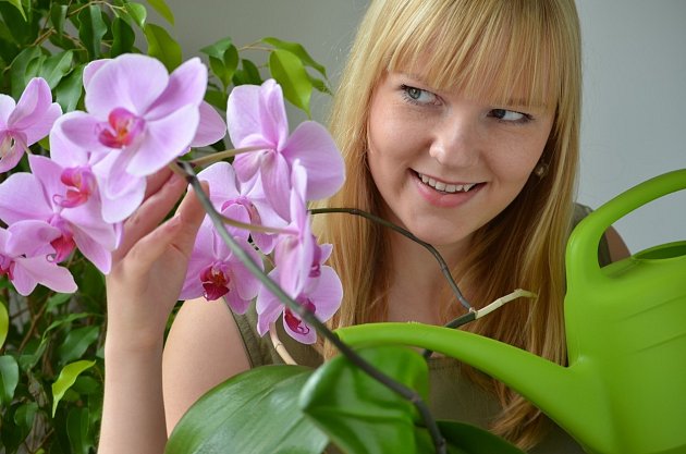 Orchidej obecně nepotřebuje moc vláhy, ale v zimě potřebuje vody ještě méně.