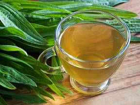 Jitrocelový čaj vyzkoušejte při nachlazení, bolesti v krku i na hojení kůže.