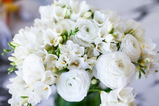 Bílé frézie se často objevují ve svatebních kyticích.