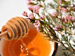 Doporučuje se smíchat polévkovou lžíci manukového medu s teplou vodou nebo čajem a vypít alespoň jeden šálek denně.