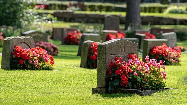 Čím osázet hroby, aby byly upravené i během horkého léta?