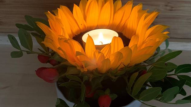 Jak vyrobit živý svícen ze slunečnice?
