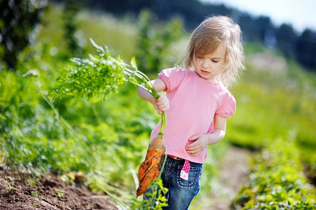 Vypěstujte si zahradníka. Jak motivovat děti k práci na zahrádce?