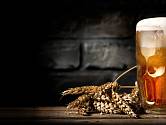 Pivo je nejen národním nápojem Čechů, ale i skvělým pomocníkem v domácnosti či pro udržení krásy