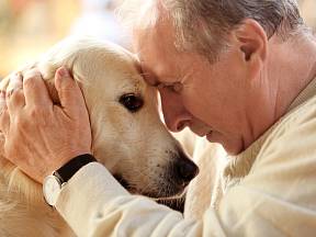 I starý pes může spokojeně žít, pokud se majitel dokáže vcítit do jeho potřeb.