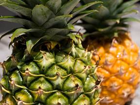Plody ananasu patří mezi oblíbené ovoce.