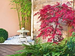 Inspirováno zenovými zahradami: bambus, javor, kapradiny.