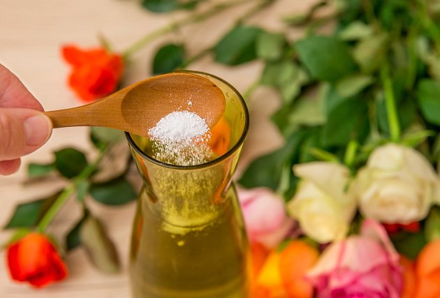 Když přidáte ¼ šálku jedlé sody do vázy s vodou, cukry obsažené v sodě prodlouží životnost květů, a dokonce vylepší i jejich vůni.