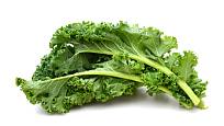 Kadeřávek, anglicky Kale, je v současnosti zejména v USA na vzestupu.