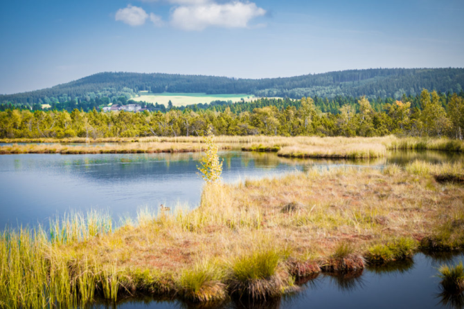 Nejznámější a také největší šumavské jezero je Černé jezero, pojmenované podle temné barvy vody.