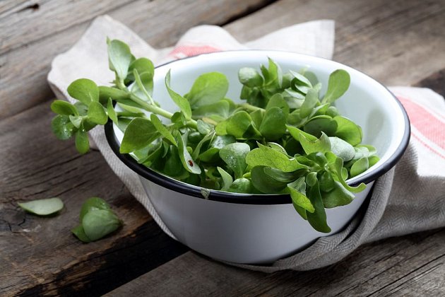 Čerstvá šrucha zelná, chutná a zdravá, je výtečná do salátů