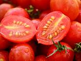 Uchovejte si vlastní semena z oblíbených rajčat.