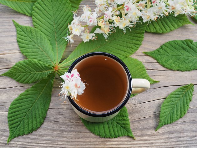 Čaj se připravuje z kůry, květů i listů kaštanu.