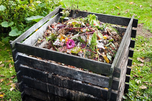 Vylepšete si kvalitu domácího kompostu, piliny totiž obsahují mnoho užitečných živin. Máte hned dvě možnosti.