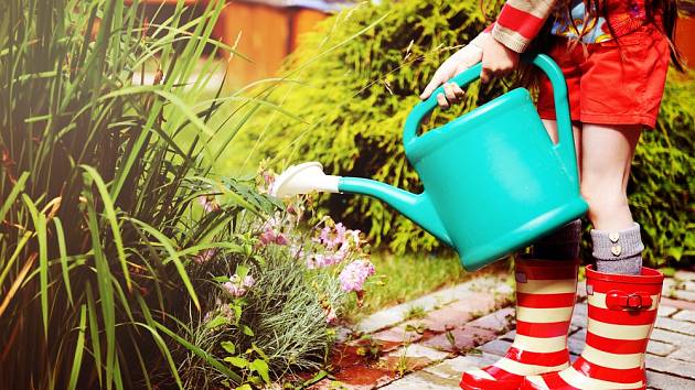 Děšťovka je nejlepší voda pro zalévání zahrady.