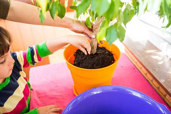 Když maminka dítěti ukáže, jak se o rostlinu starat, dítě se to rychleji naučí.