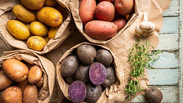 Jaké jsou nejodolnější a nejchutnější odrůdy brambor?