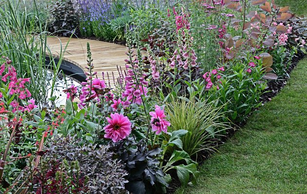 Trvalkový záhon s jiřinkami bude zahradu zdobit po celé babí léto