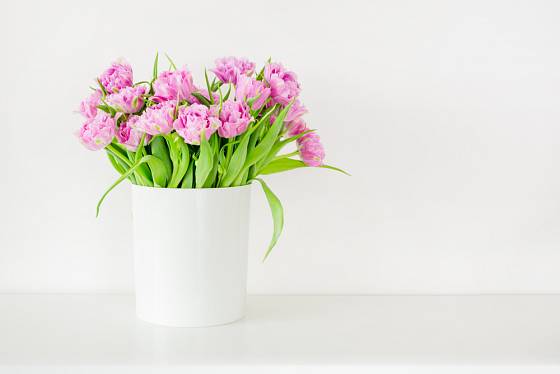 Růžové tulipány v bélé jednoduché váze jsou sázkou na jistotu. 