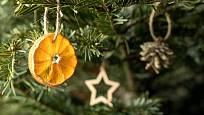 Vánoční stromek můžeme ozdobit třeba plátky sušených citrusů.