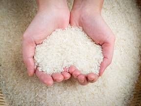 Rýže absorbuje nadměrnou vlhkost v lednici.