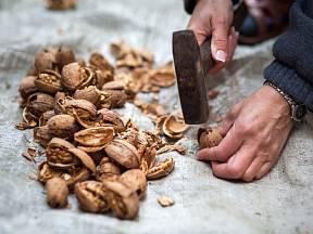 Rozbíjení ořechů kladivem.