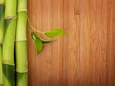 Z bambusu se vyrábí podlahové krytiny