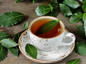 Čaj z bobkového listu posílí obranyschopnost organismu.