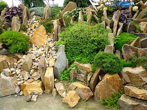 Spárová skalka se vejde i na malou zahradu a je pohledná po celý rok