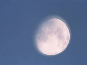 Lunární záře významným způsobem ovlivňuje celou přírodu.