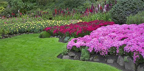 rozkvetlá zahrada