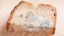 Plesnivý chléb je nutné vyhodit