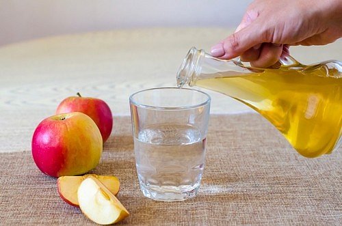 Dieta s jablečným octem je spíše detoxikačním programem, který není od věci sem tam tělu dopřát.