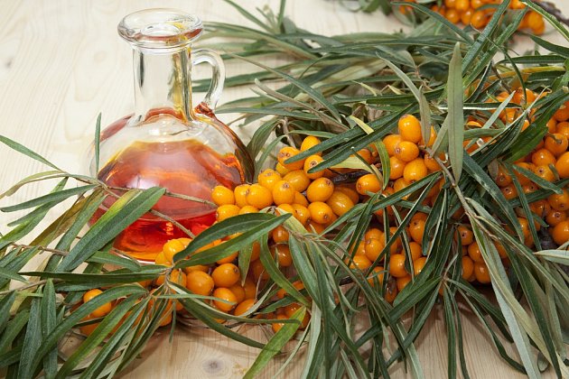 Rakytník lze vyluhovat v olivovém oleji.