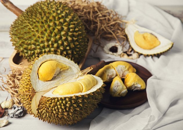 Durian má poměrně velké plody