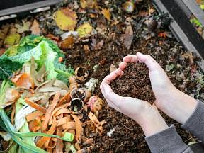 Co potřebuje kompost v lednu?