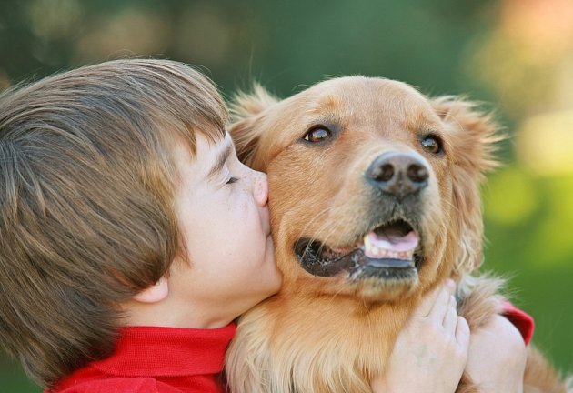 Rozhodneme-li se pro dospělého psa, měl by být zvyklý na kontakt s dětmi.