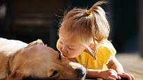 Dobře socializovaný pes a poučené malé dítě