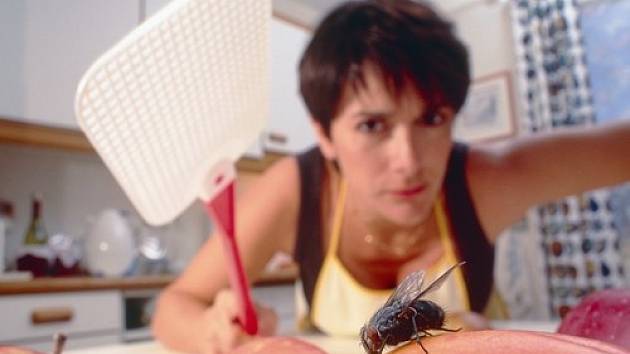 Dotěrný hmyz umí pěkně znepříjemnit nejen letní posezení na zahradě či terase, ale obtěžuje i doma v kuchyni, anebo v noci v ložnici.