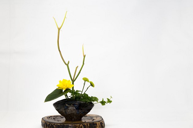 Ikebana to je také jednoduché nazírání na krásu.