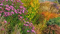 Zahrada i na podzim může hýřit pestrými barvami.