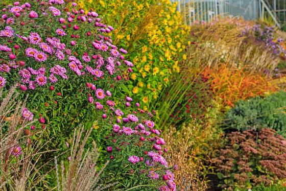 Zahrada i na podzim může hýřit pestrými barvami.