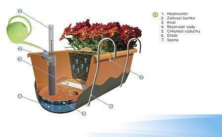 Pěstování v samozavlažovacím truhlíku: Co byste o něm měli… | iReceptář.cz